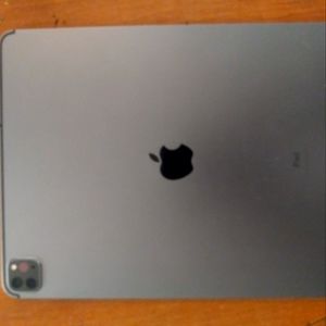 Ipad pro 12 256 gb 4th generation Wi-Fi plus cellular.